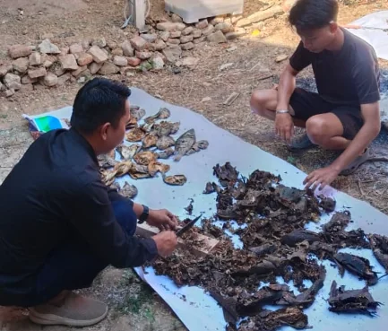 Pemanfaatan bahan baku lokal